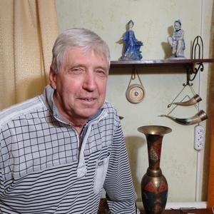 Алексей, 76 лет, Серпухов