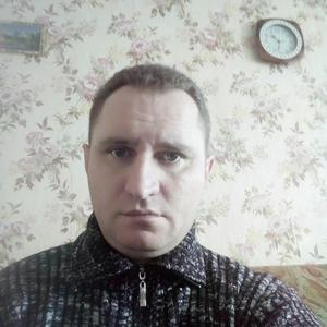 Владимир, 41 год, Ясный