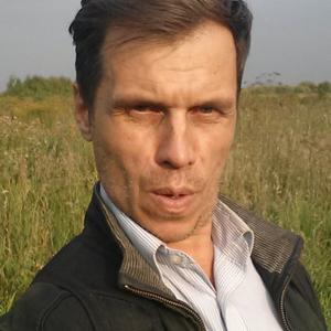 Андрей, 41 год, Ивантеевка