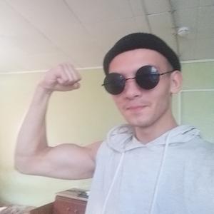 Николай, 20 лет, Грязовец