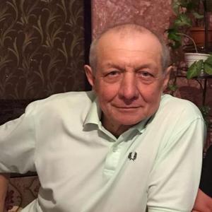 Владимир, 64 года, Саратов