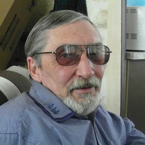 Алекс, 70 лет, Волгоград