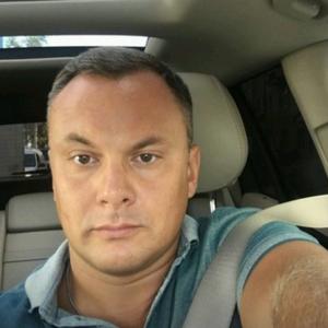 Fedor Sumkin, 38 лет, Sofia