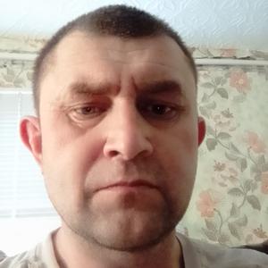 Парни в Сорочинске: Сергей, 41 - ищет девушку из Сорочинска