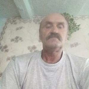 Иванн Родионоа, 65 лет, Тогур