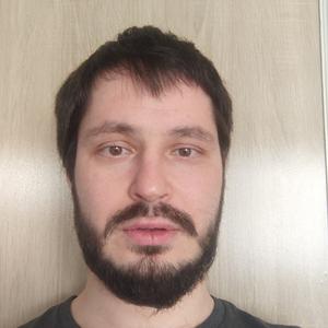 Анатолий, 39 лет, Ульяновск
