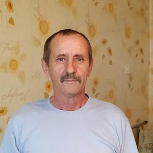 Александр, 64 года, Змеиногорск