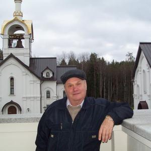 Виктор, 73 года, Смоленск