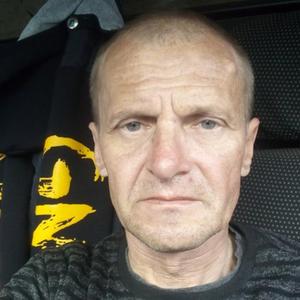 Геннадий Логинов, 50 лет, Белгород