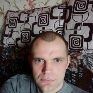 Серж, 44 года, Ярославль