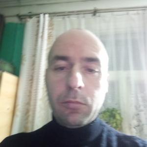 Андрей, 45 лет, Вязьма