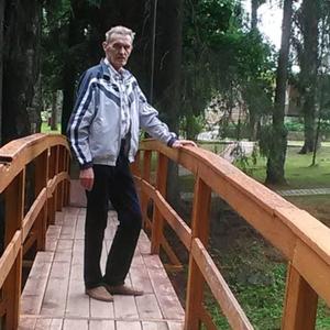 Roman Averin, 77 лет, Иваново