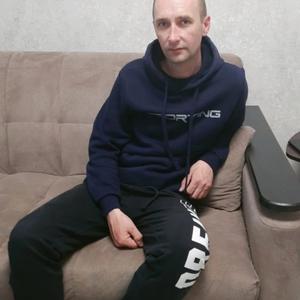 Андрей, 44 года, Приозерск