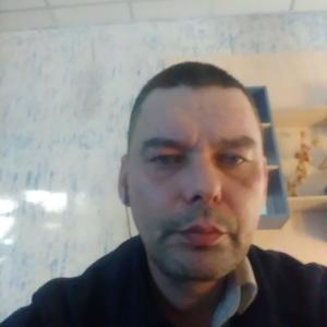 Сергей, 43 года, Топки