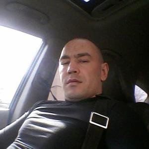 Анатолий, 43 года, Мурманск
