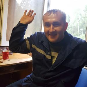 Дмитрий, 48 лет, Александров