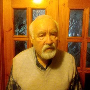 Анатолий, 80 лет, Казань