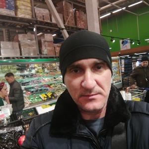 Герман, 39 лет, Краснодар