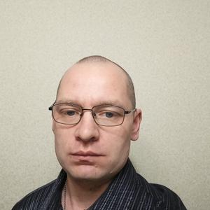 Вадим, 47 лет, Щелково