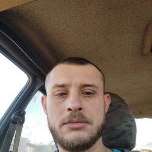 Сергей, 37 лет, Журавлевка