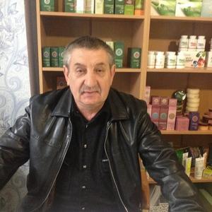 Анатолий Магера, 69 лет, Ростовская