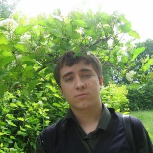 Степан, 36 лет, Смоленск
