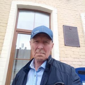 Сергей Романов, 71 год, Самара