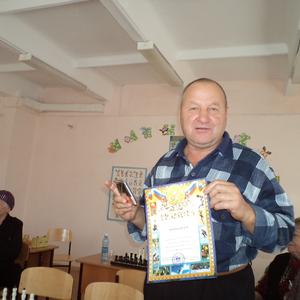 Николай, 67 лет, Майма