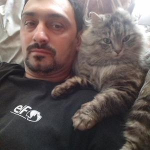 Dima, 43 года, Кольцово