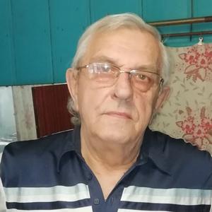 Владимир Туркин, 77 лет, Ишимбай