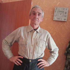 Александр, 72 года, Курск