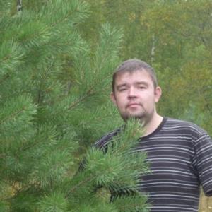 Сергей, 43 года, Владимир