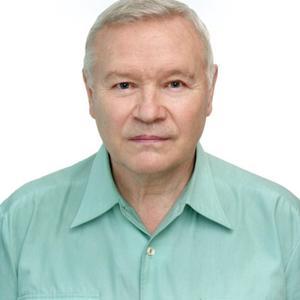 Владимир Тихонов, 66 лет, Тверь