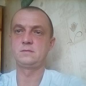 Алекс, 46 лет, Плавск