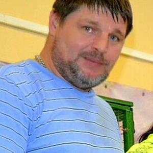 Василий, 51 год, Полевской