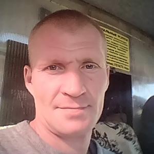 Вадим Медведев, 41 год, Зерноград