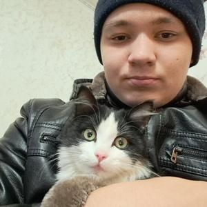 Кирилл, 20 лет, Арамиль