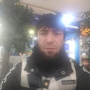 Антон-ося, 35 лет, Ярославль