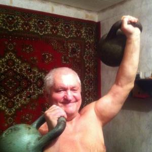 Олег, 76 лет, Ногинск