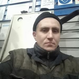 Сергей, 40 лет, Тайга