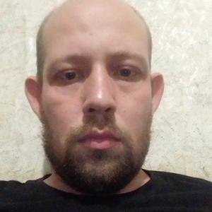 Владимир, 33 года, Воронеж