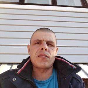 Алексей Волков, 41 год, Кострома