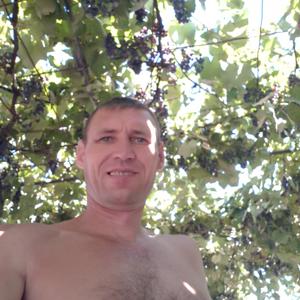 Парни в Менделеевске: Дмитрий, 47 - ищет девушку из Менделеевска