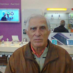 Борис, 83 года, Химки
