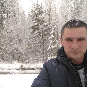 Рома, 46 лет, Саянск