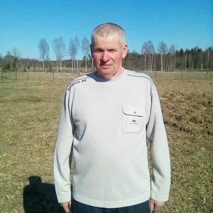 Геннадий, 67 лет, Псков