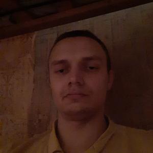 Дмитрий, 23 года, Боровичи