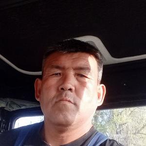 Нурсултан, 41 год, Тараз