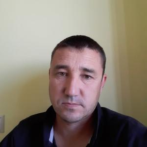 Борз Мейловский, 43 года, Электросталь