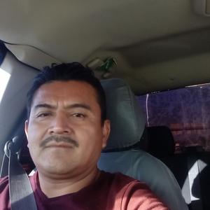 Marcos, 40 лет, Guatemala